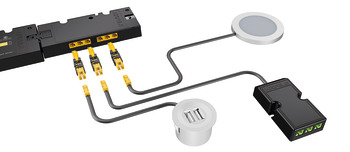 Adaptador, para conectar los consumidores Häfele Loox a la fuente de alimentación Häfele Loox5 24 V