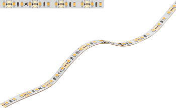 tira LED, Häfele Loox5 LED 2065 12 V 8 mm 2 polos (monocromo), 120 LED/m, 4,8 W/m, IP20