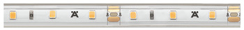 tira LED en tubo de silicona, Häfele Loox5 LED 2063 12 V 8 mm 2 polos (monocromo), 60 LED/m, 4,8 W/m, IP44